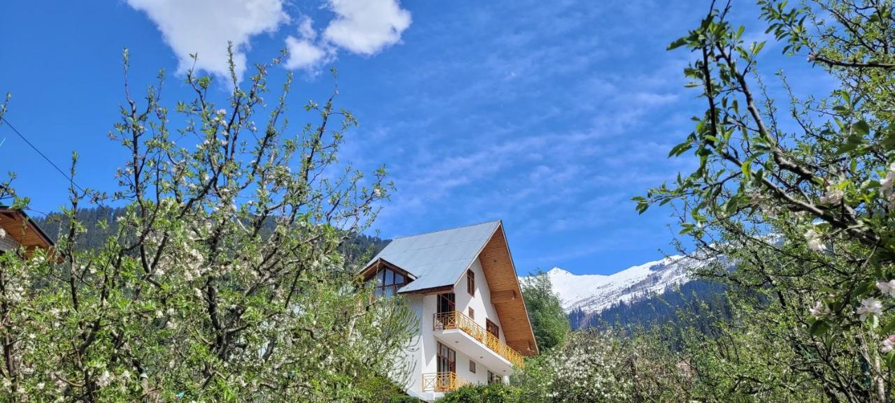 The Wooden Chalet, Manali Eksteriør billede